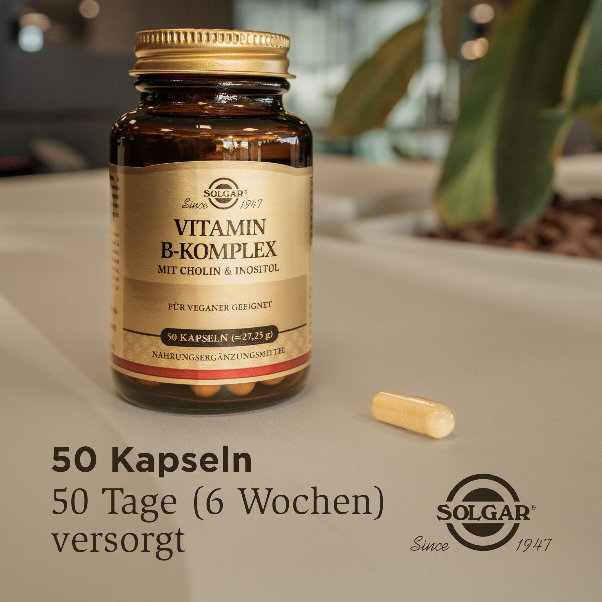 Vitamin B-Komplex